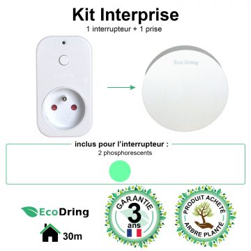 Kit prise commandée avec télécommande sans fil et sans pile