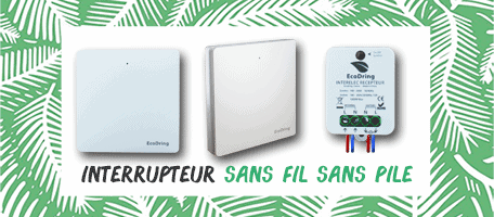 télécommandé, télécommandée