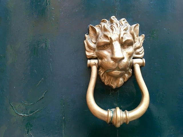 devant de porte lion