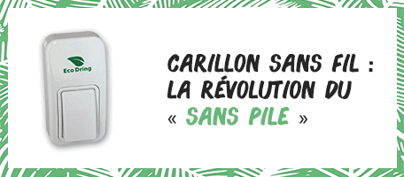 article_carillon_ecodring