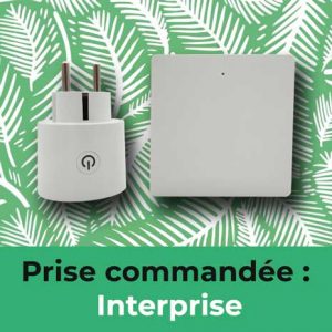 prise commandée